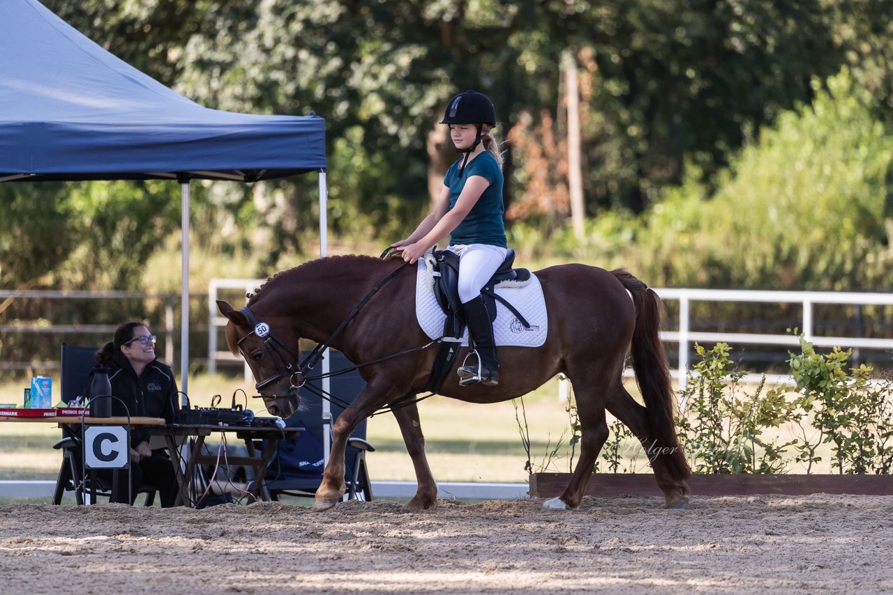 Bild 8 - Pony Akademie Turnier